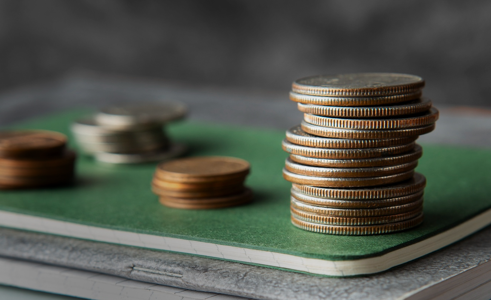 empresa-de-alimentos-ahorro