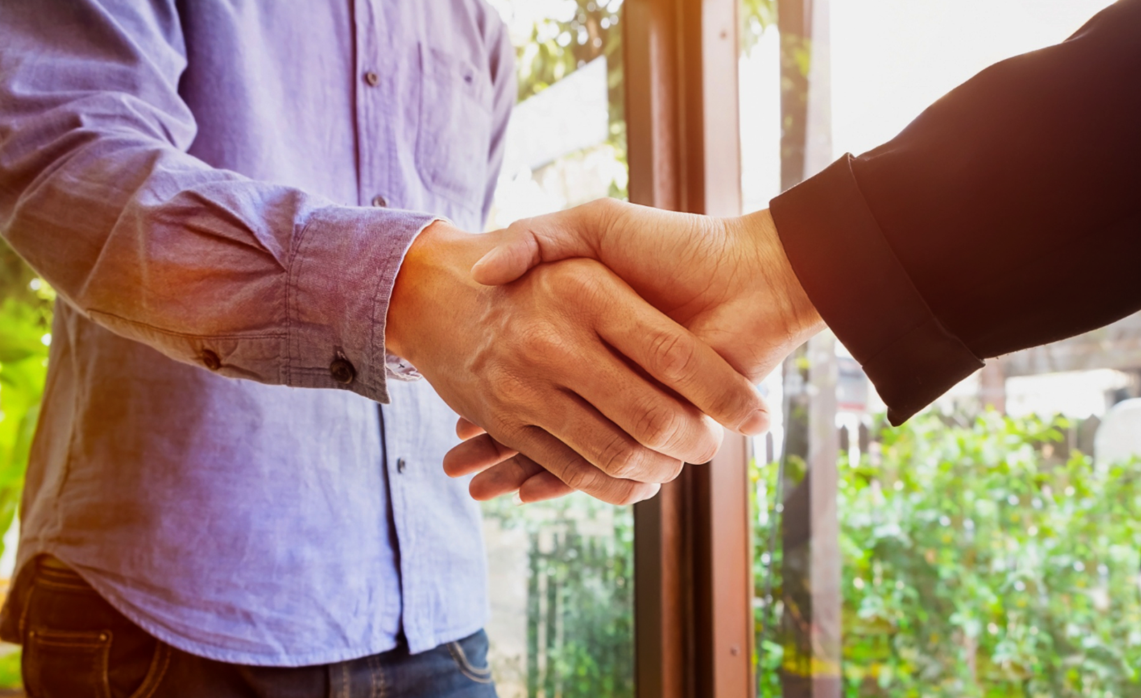 empresa-de-alimentos-saludo-de-manos