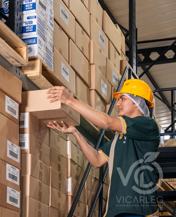 distribución-de-frutas-viveres-guayaquil-bodega