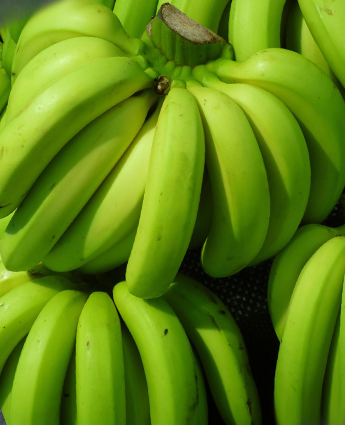 distribución-de-frutas-viveres-guayaquil-platano-verde