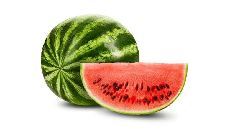 empresa-de-alimentos-sandia