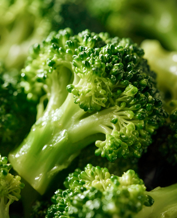 mayoristas-legumbres-guayaquil-brocoli-por-mayor