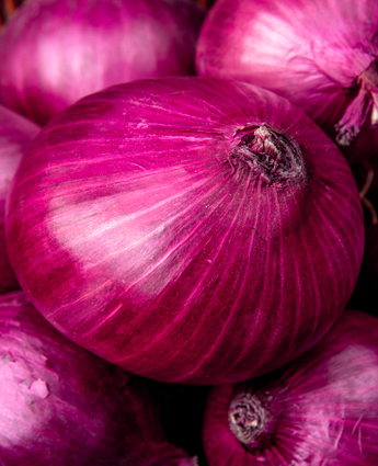 mayoristas-legumbres-guayaquil-cebollas-por-mayor