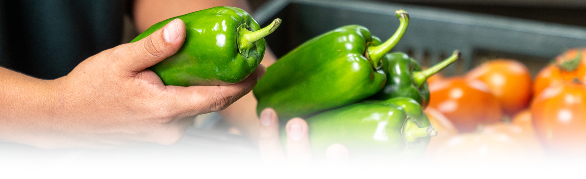 mayoristas-legumbres-guayaquil-pimientos-tomates