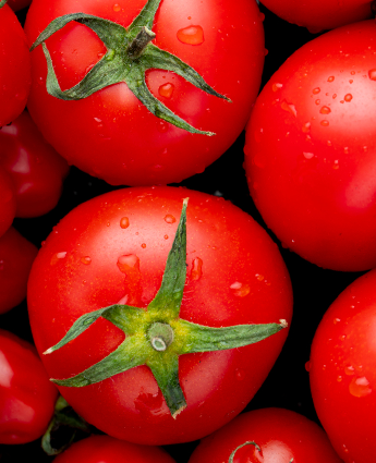 mayoristas-legumbres-guayaquil-tomates-por-mayor