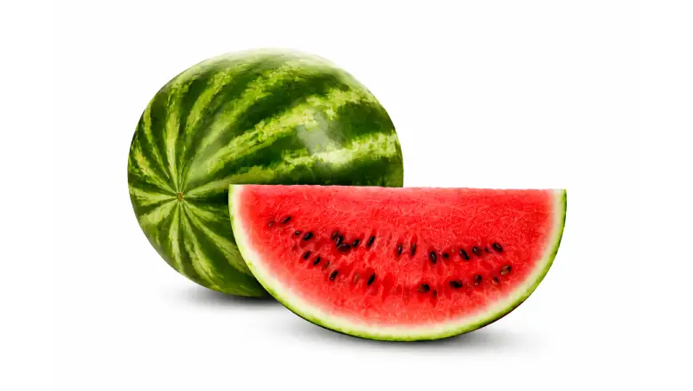 empresa-de-alimentos-sandia-centrada